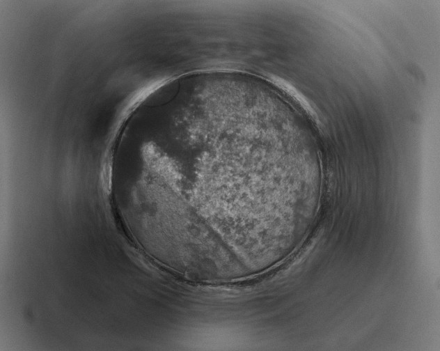 X0000116791413200912311908