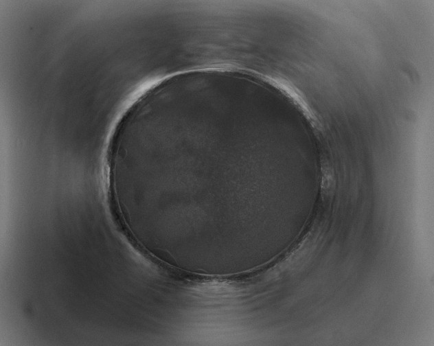 X0000116791414200912311908