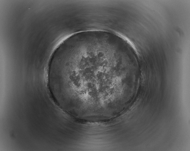 X0000116791415200912311908