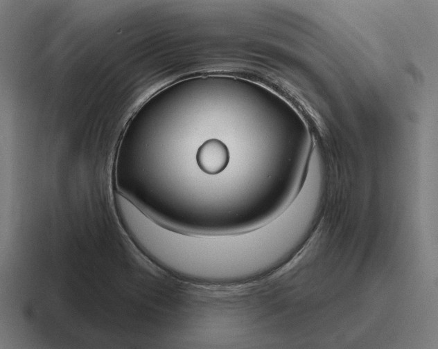 X0000116791417200912311908