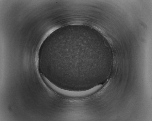 X0000116791418200912311908