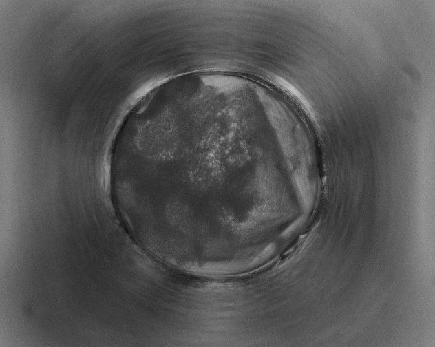 X0000116791419200912311908