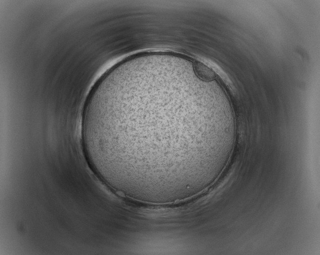 X0000116791420200912311908