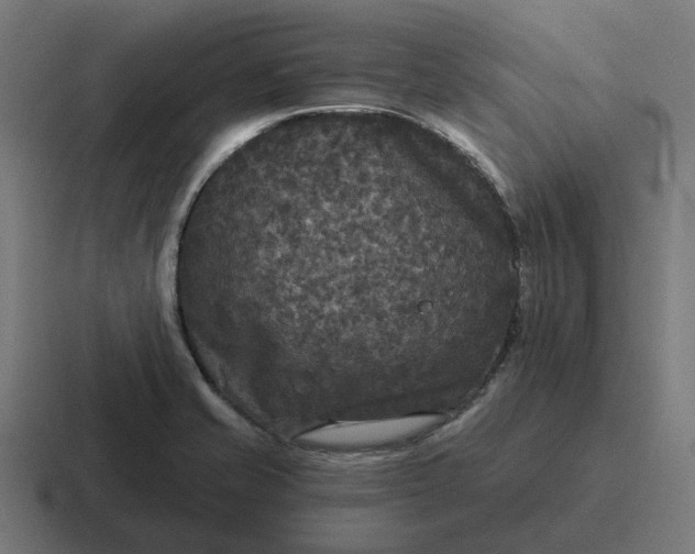 X0000116791421200912311908