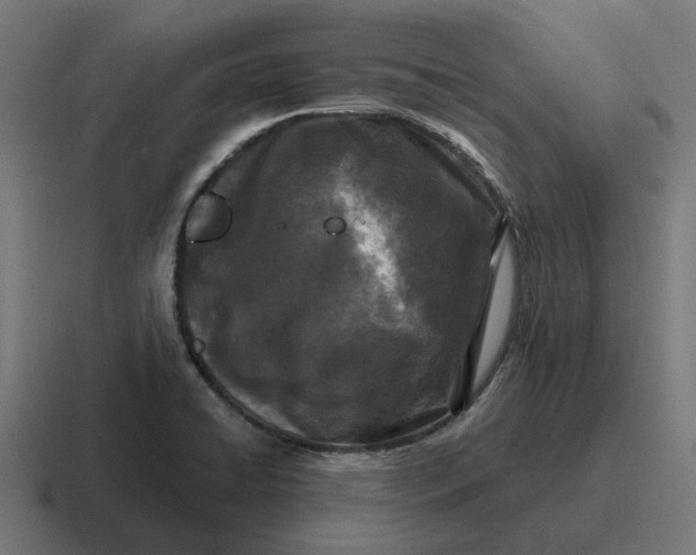 X0000116791422200912311908