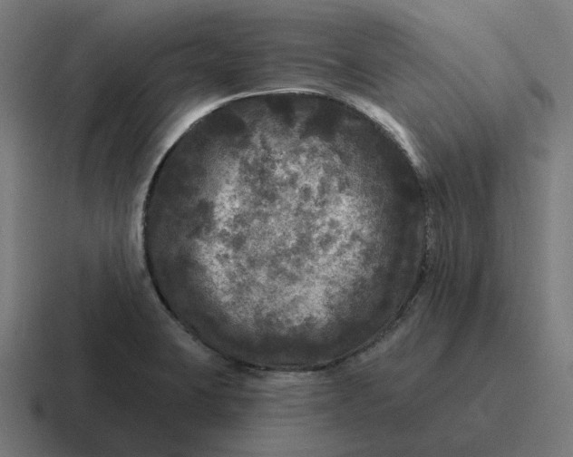 X0000116791423200912311908