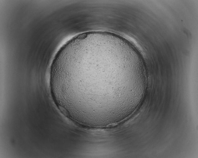 X0000116791424200912311908