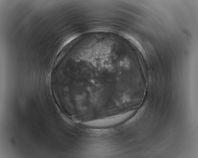 X0000116791425200912311908