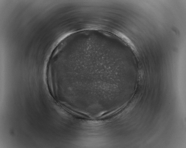 X0000116791427200912311908