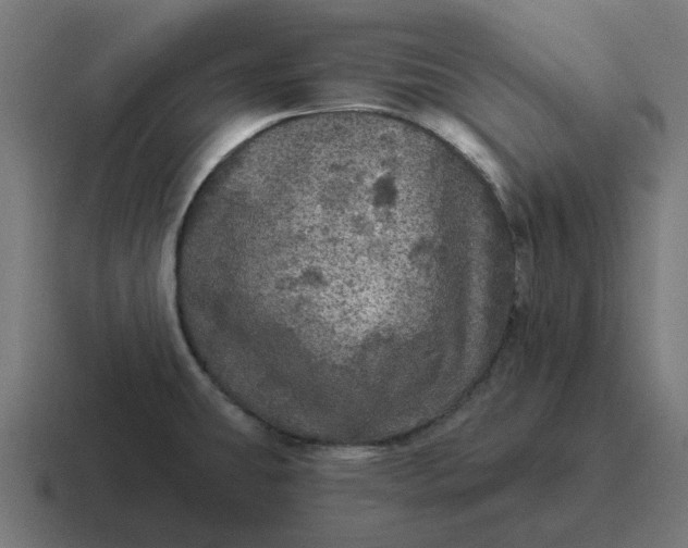 X0000116791431200912311908