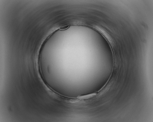 X0000116791434200912311908