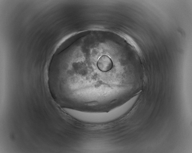 X0000116791435200912311908