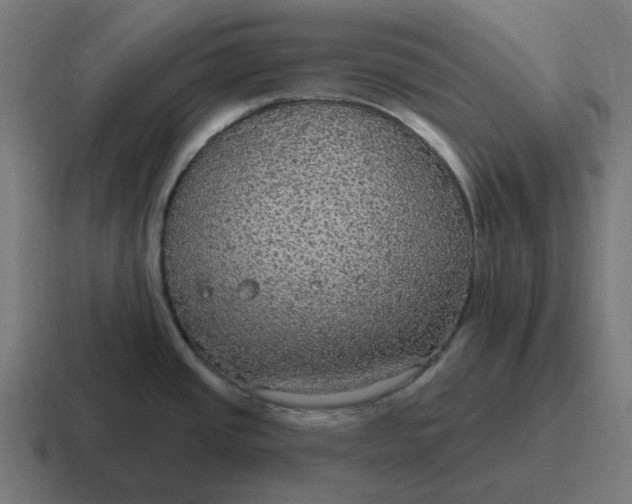 X0000116791437200912311908