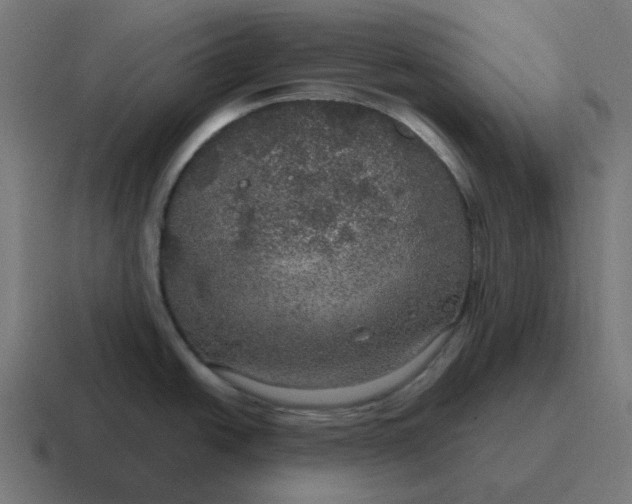 X0000116791438200912311908