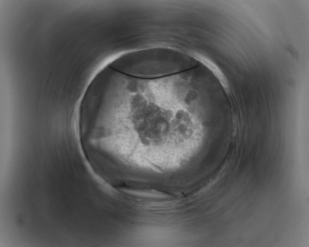 X0000116791439200912311908