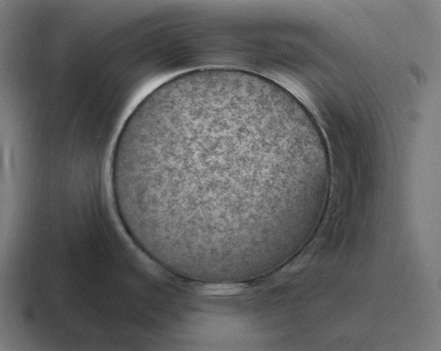 X0000116791440200912311908