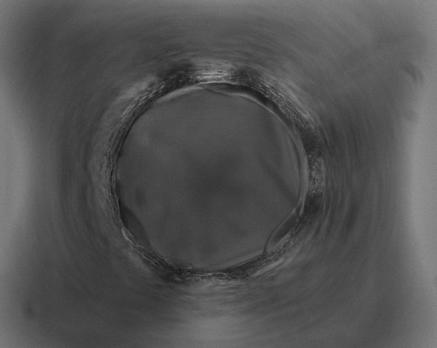 X0000116791441200912311908