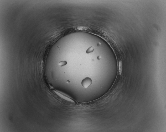 X0000116791443200912311908