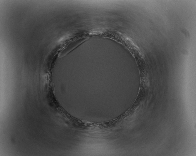 X0000116791445200912311907