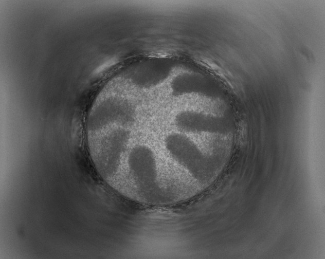 X0000116791446200912311907