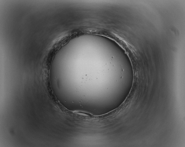 X0000116791447200912311907