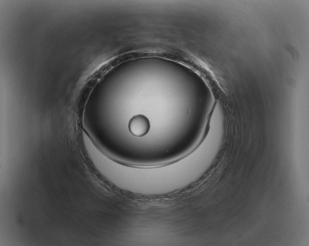 X0000116791448200912311907