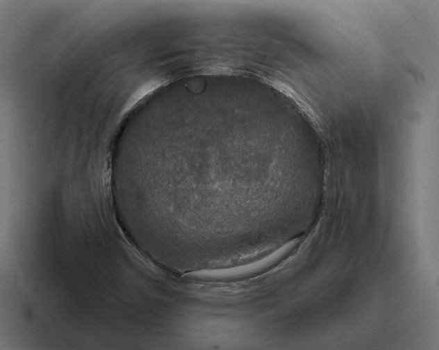 X0000116791450200912311907