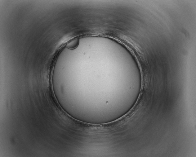 X0000116791451200912311907