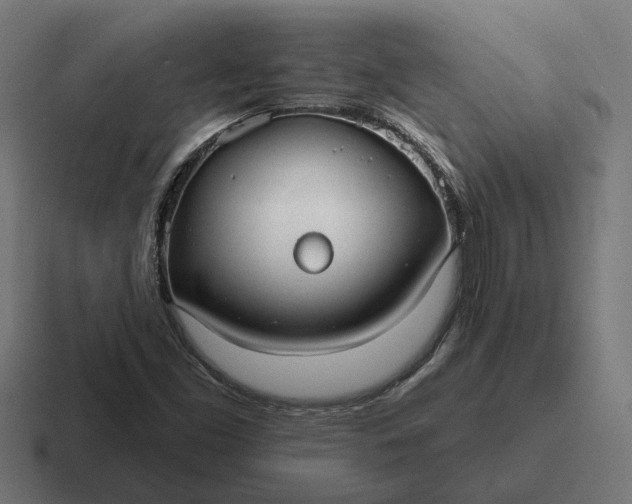 X0000116791453200912311907