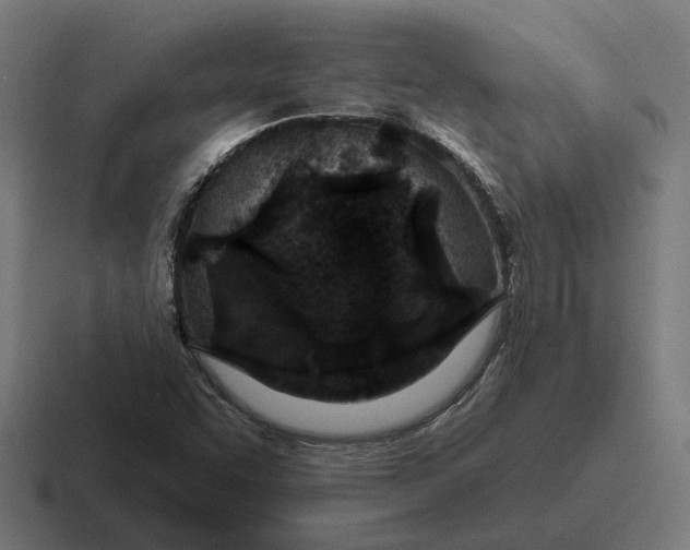 X0000116791455200912311907