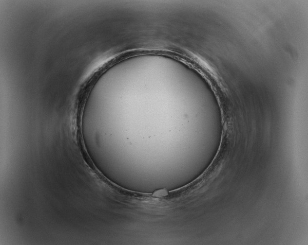 X0000116791456200912311907