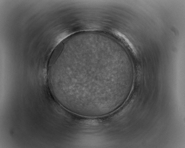 X0000116791457200912311907