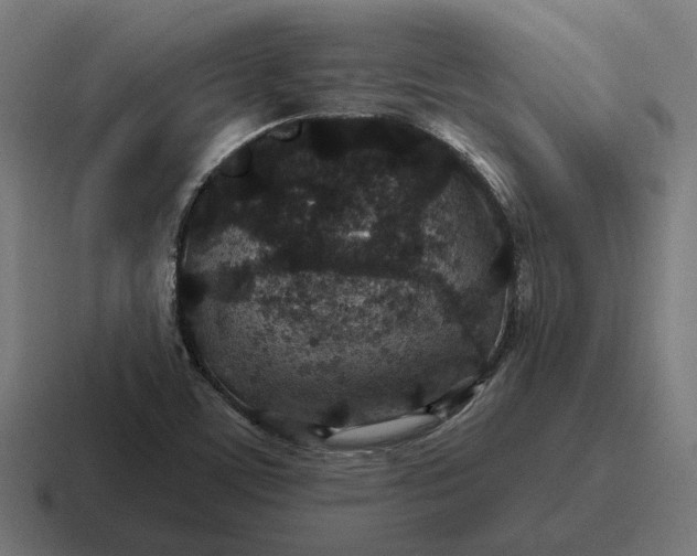 X0000116791459200912311907