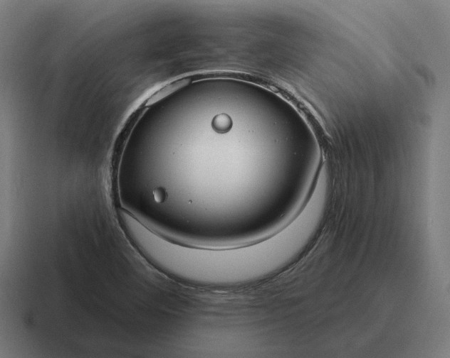 X0000116791460200912311907