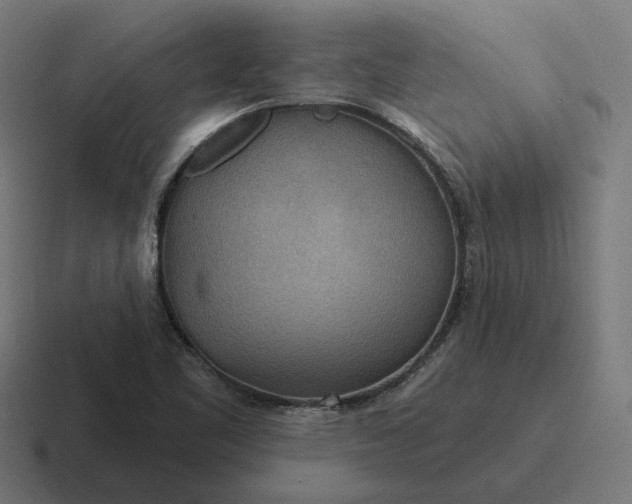 X0000116791461200912311907