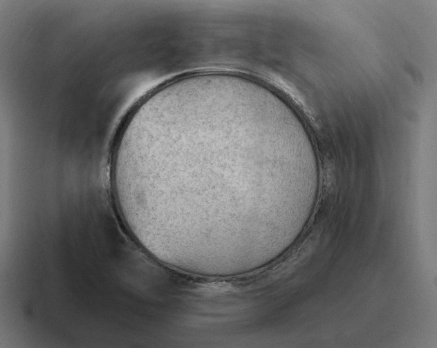 X0000116791462200912311907