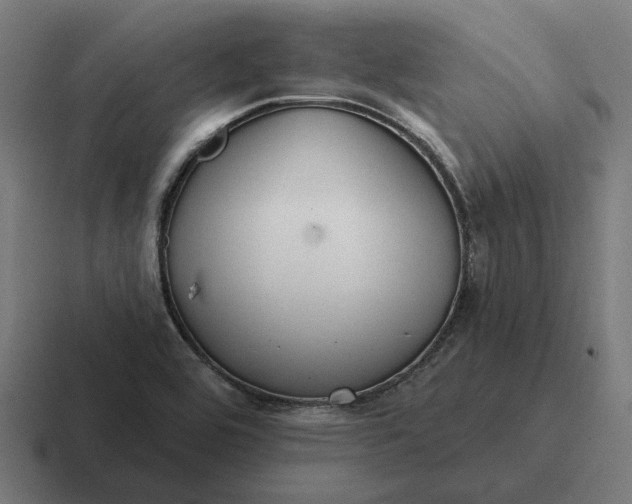 X0000116791464200912311907