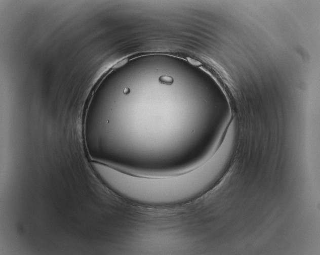 X0000116791465200912311907