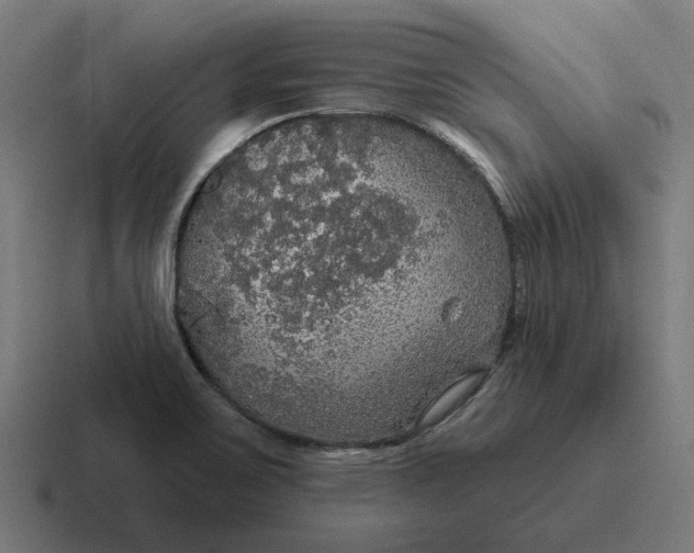 X0000116791467200912311907