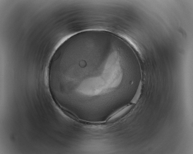 X0000116791468200912311907