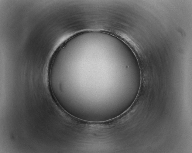 X0000116791469200912311907