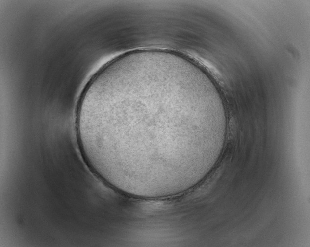 X0000116791470200912311907