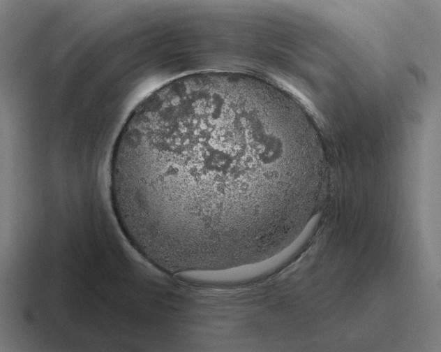 X0000116791471200912311907