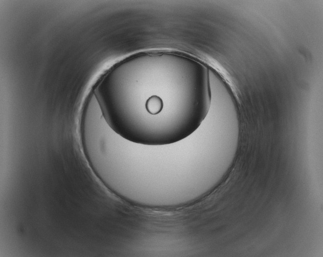 X0000116791472200912311907