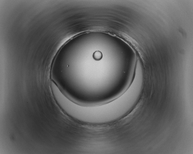 X0000116791473200912311907