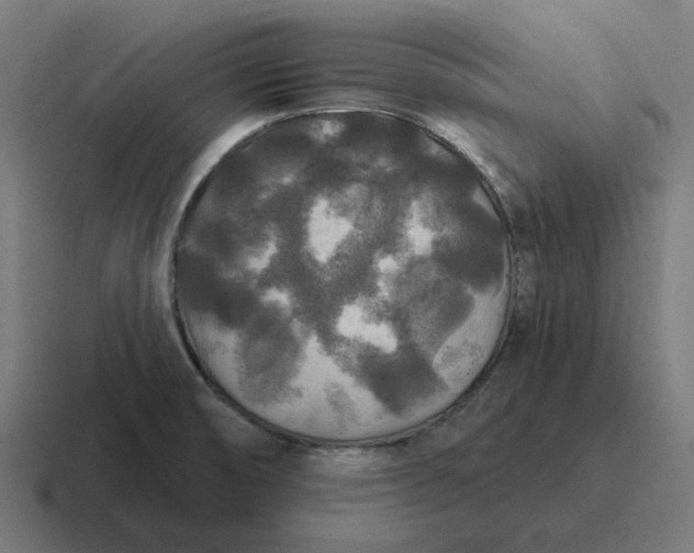 X0000116791474200912311907