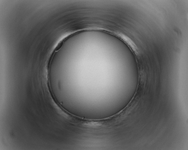 X0000116791476200912311907