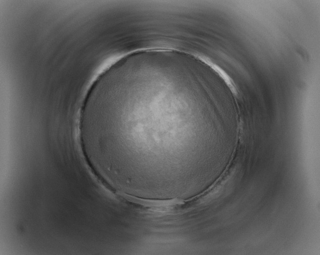 X0000116791477200912311907