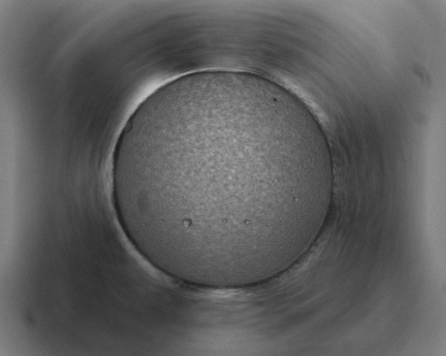 X0000116791479200912311907