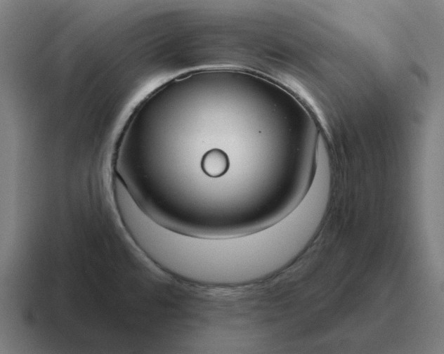 X0000116791480200912311907